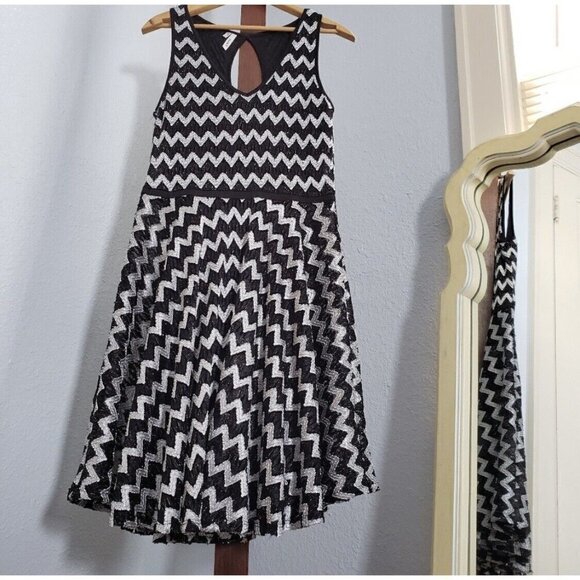 Studio Y Sz XS Black White Chevron Herringbone Lace Fit and Flare Dress Metallic - Picture 14 of 15